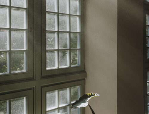 Sussex guide: choosing windows and doors for comfort, security and style